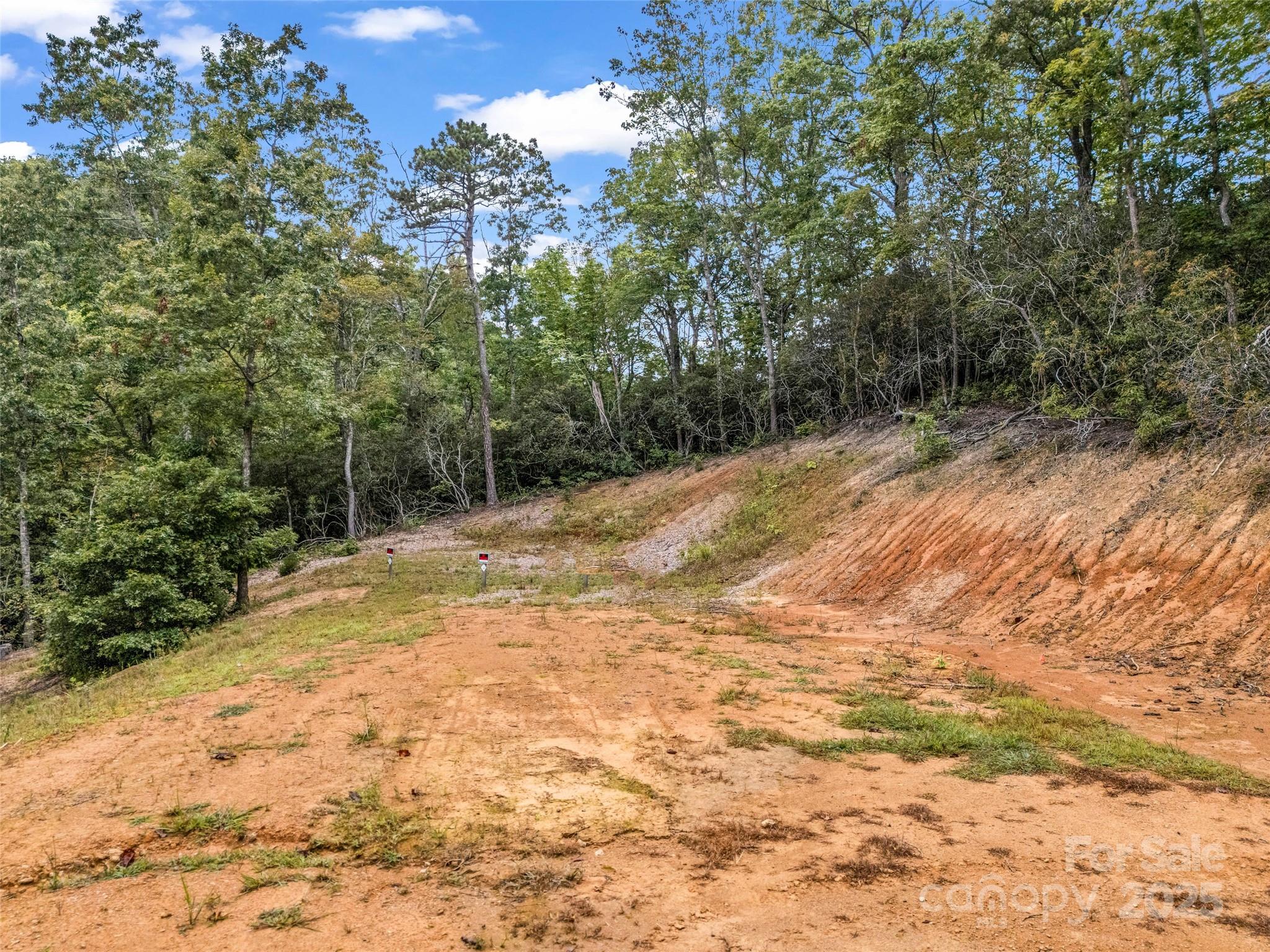 16 Wildcat Ridge Drive Fairview, NC 28730 - Photo 16 of 23