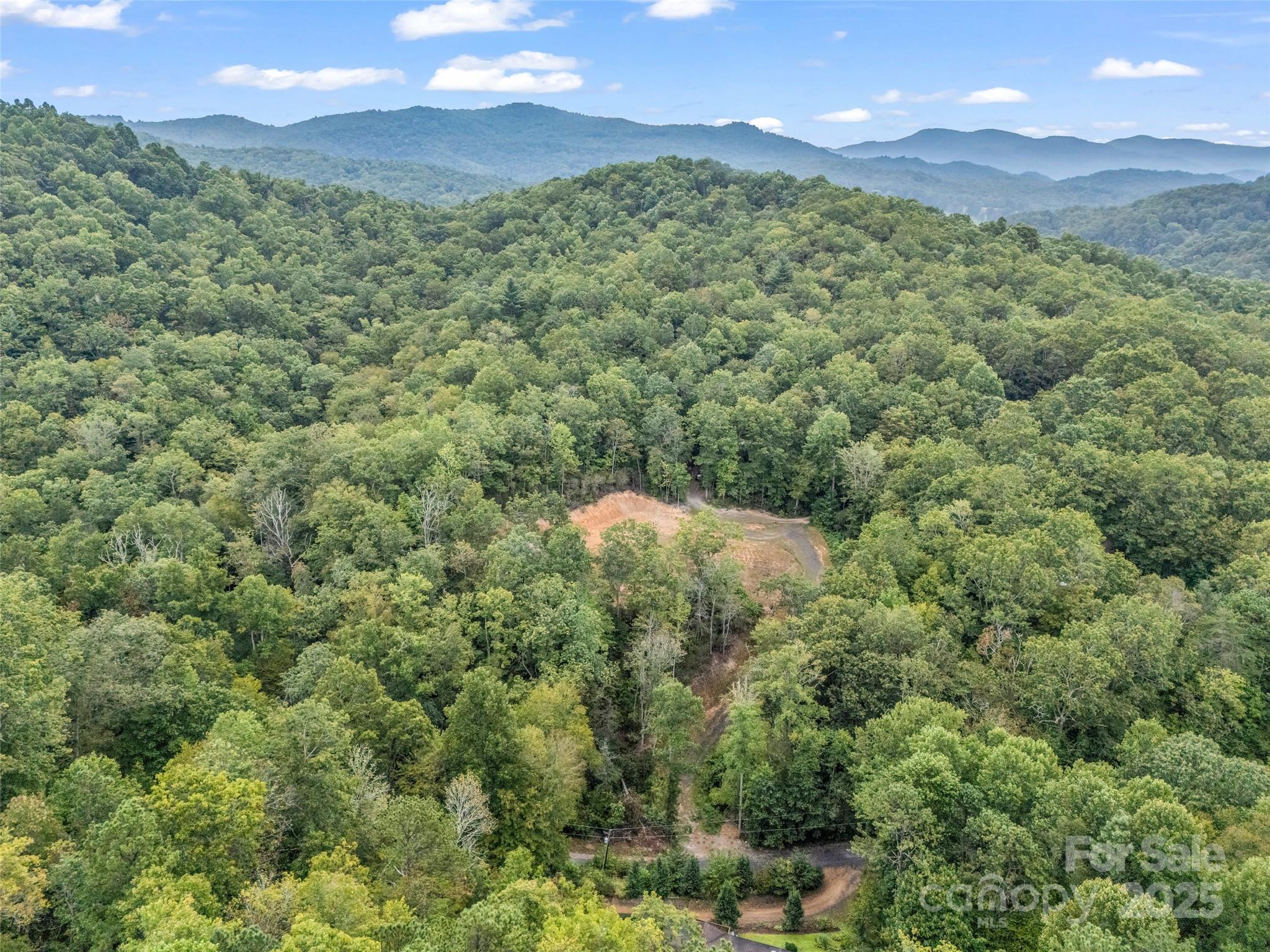 16 Wildcat Ridge Drive Fairview, NC 28730 - Photo 2 of 23