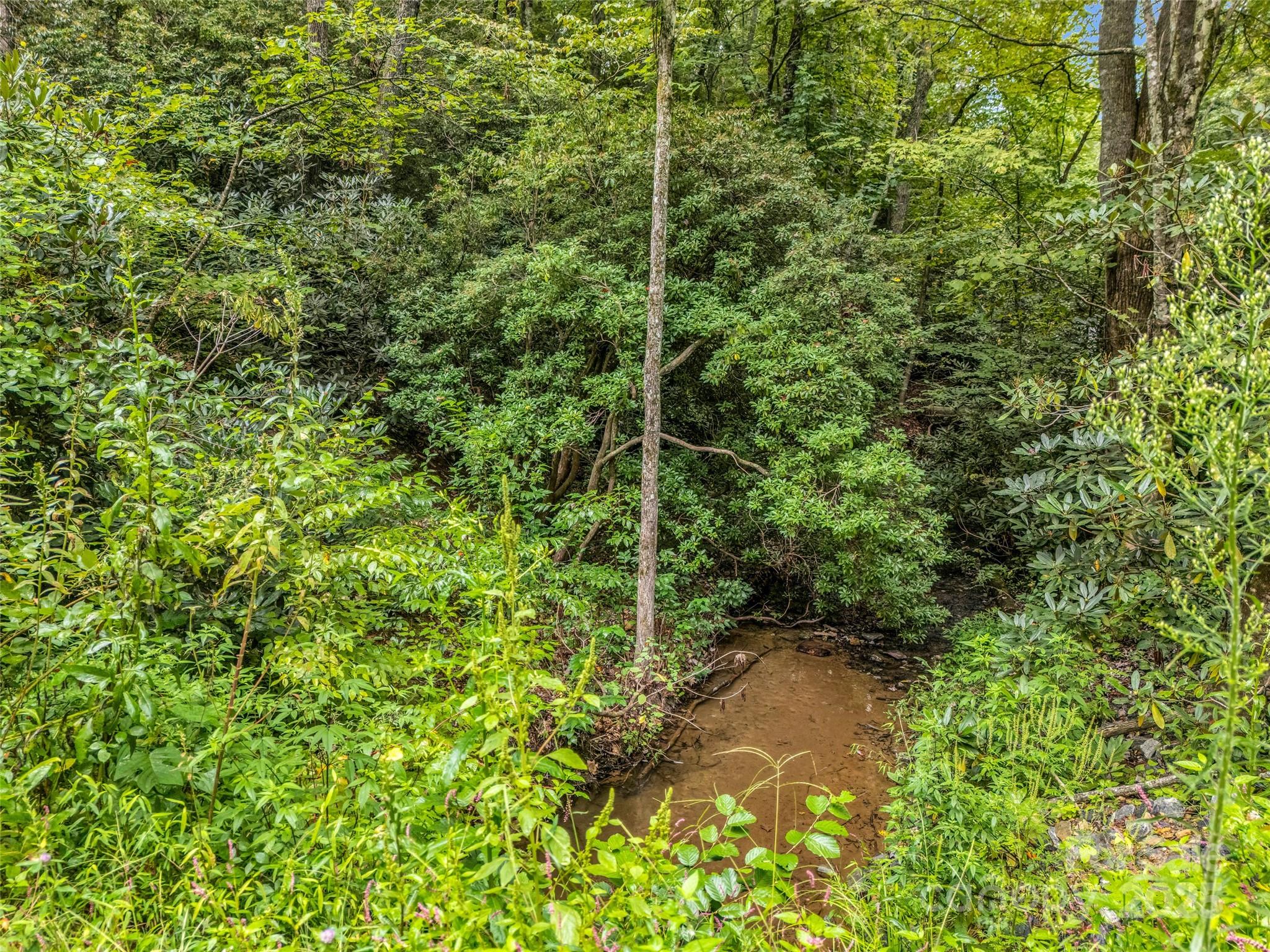16 Wildcat Ridge Drive Fairview, NC 28730 - Photo 23 of 23