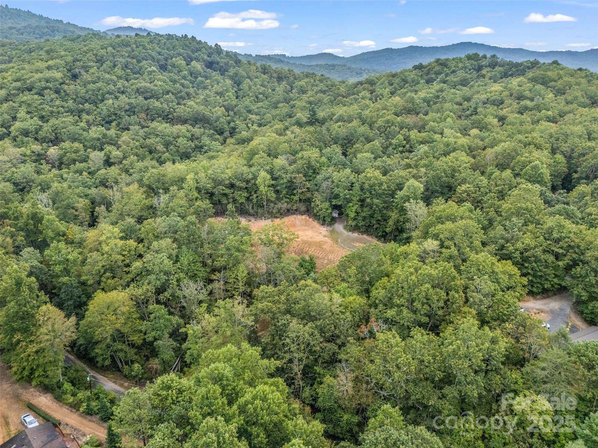 16 Wildcat Ridge Drive Fairview, NC 28730 - Photo 3 of 23