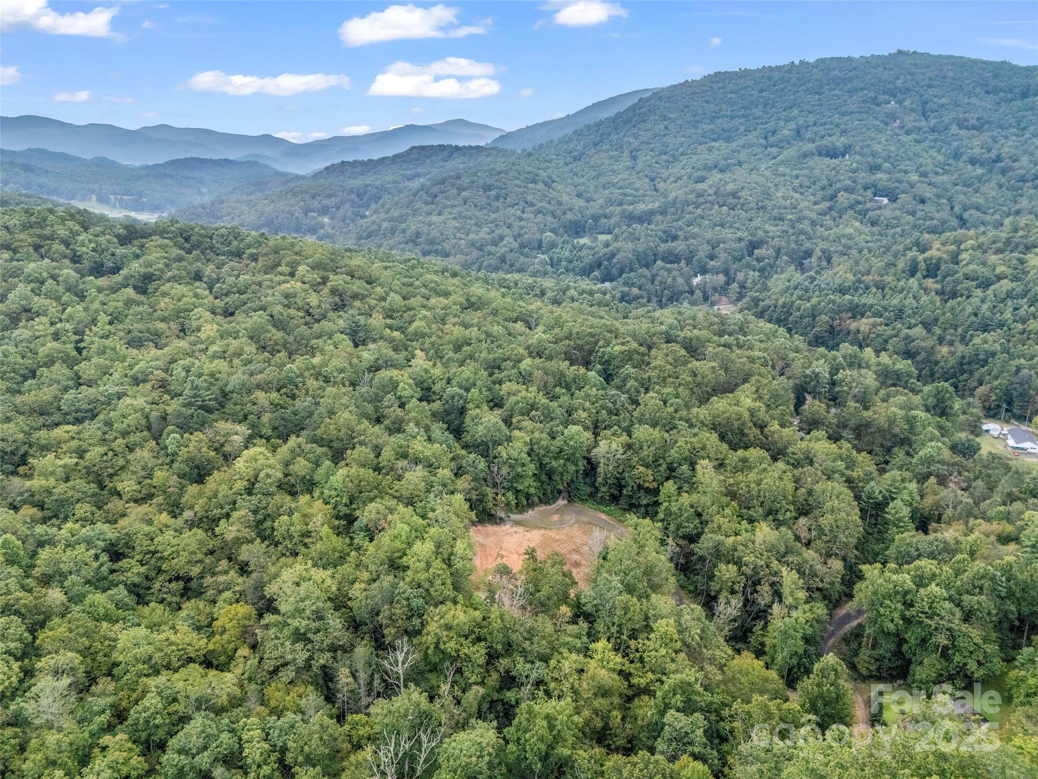 16 Wildcat Ridge Drive Fairview, NC 28730 - Photo 4 of 23