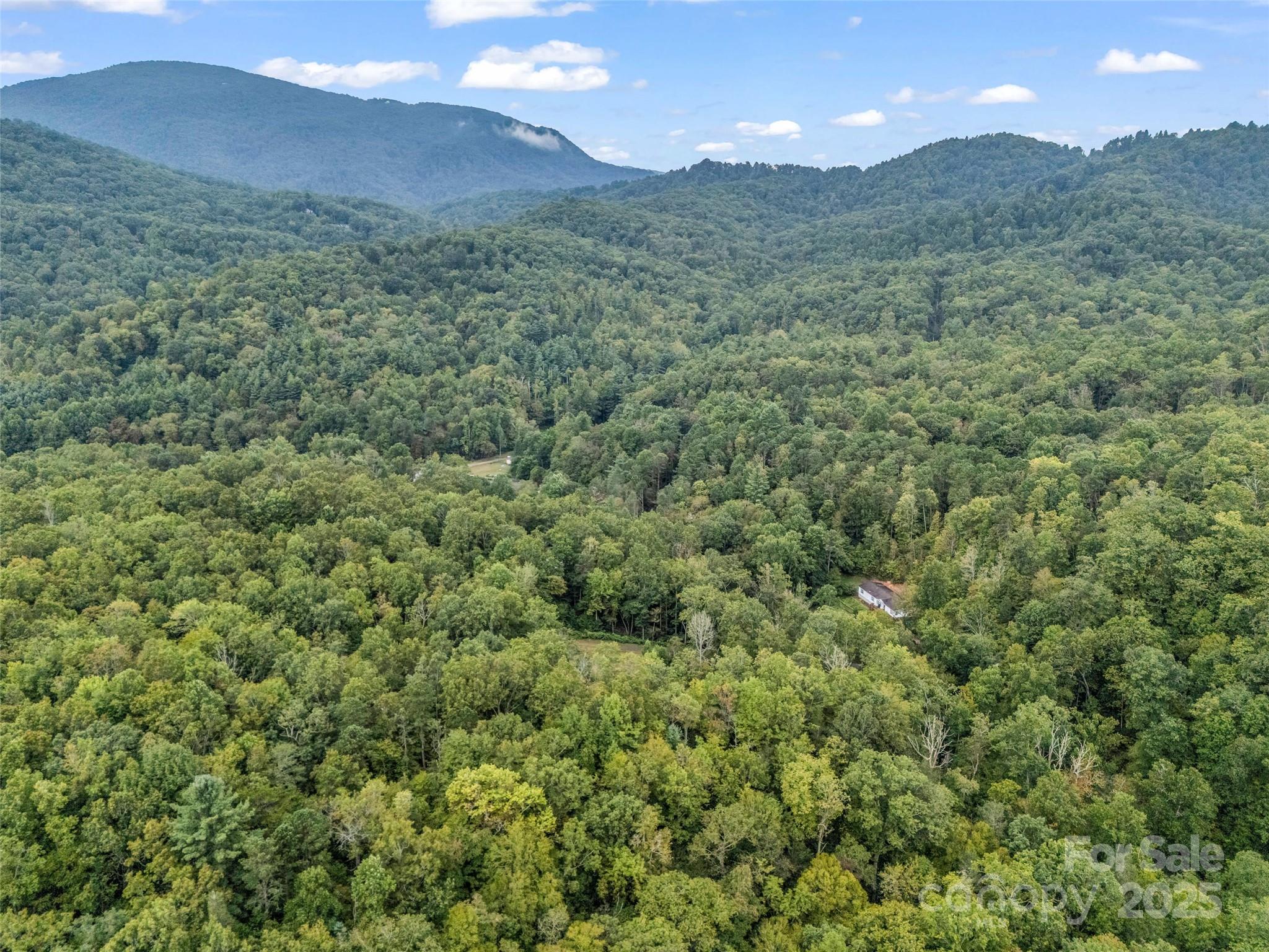 16 Wildcat Ridge Drive Fairview, NC 28730 - Photo 6 of 23