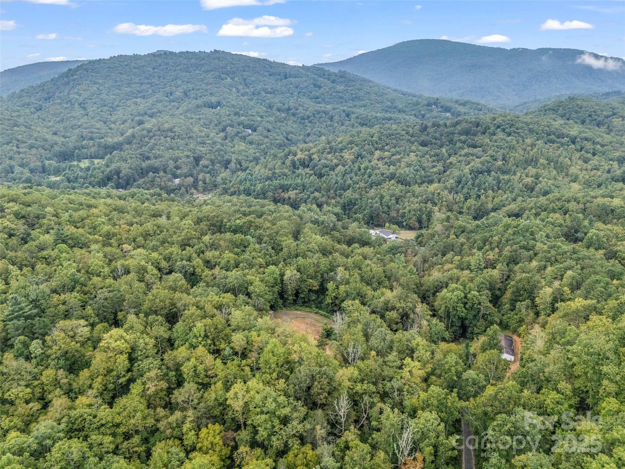 16 Wildcat Ridge Drive Fairview, NC 28730 - Photo 7 of 23