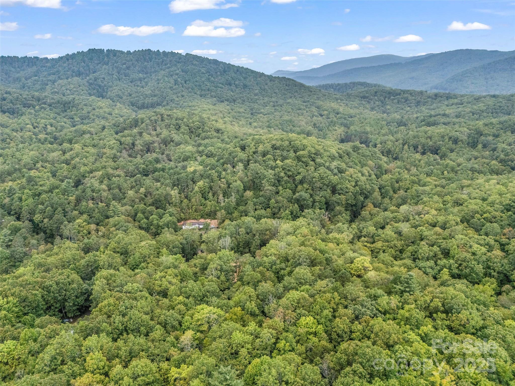 16 Wildcat Ridge Drive Fairview, NC 28730 - Photo 8 of 23