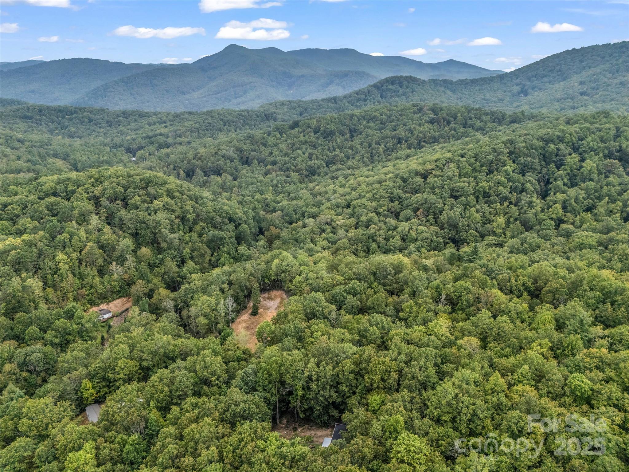 16 Wildcat Ridge Drive Fairview, NC 28730 - Photo 10 of 23