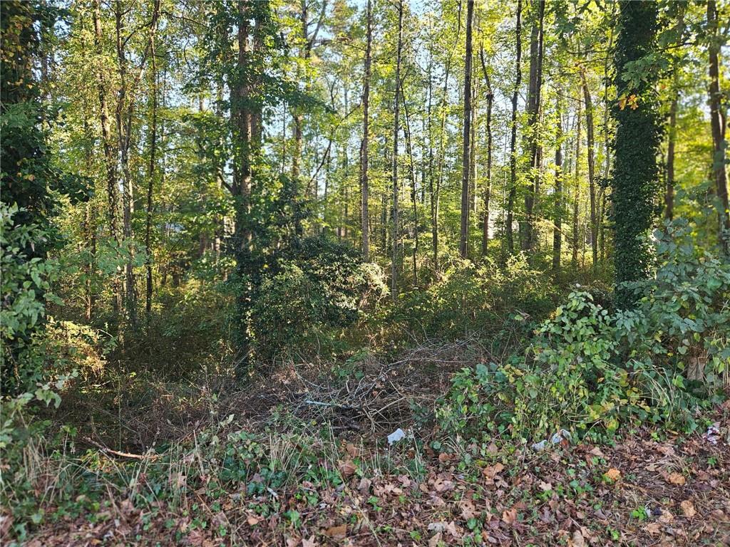 3205 Alcazar Drive Southwest Lilburn, GA 30047 - Photo 9 of 9