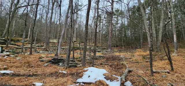 $99,000 | Deer Hill Road, Wurtsboro, NY 12790