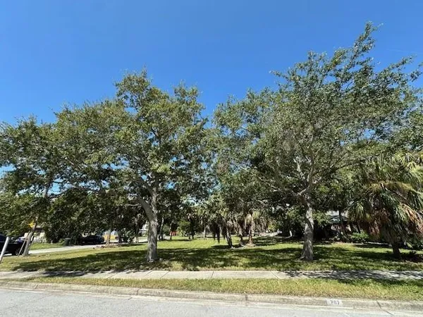 a view of a yard