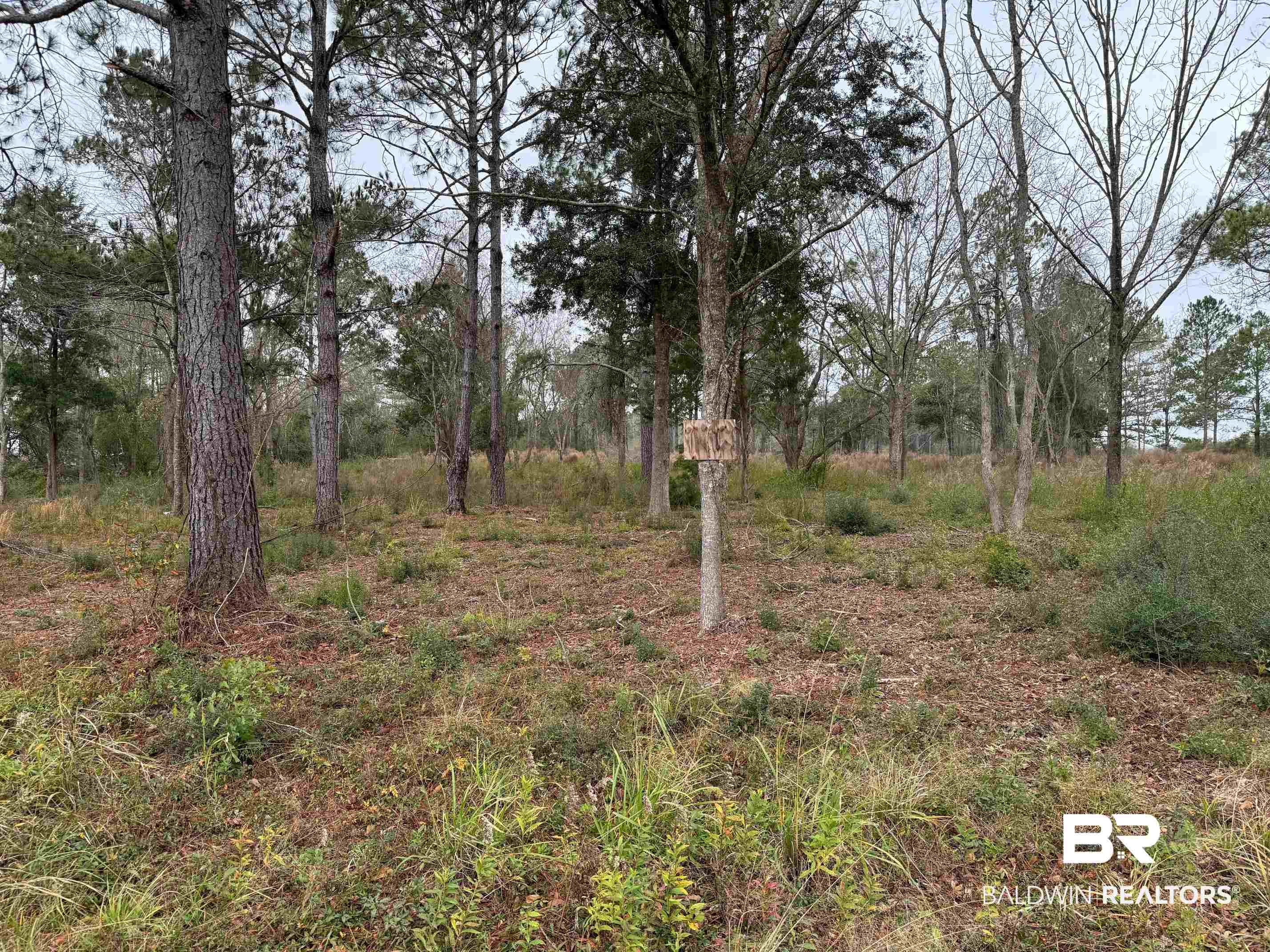0 Old Brady Road Loxley, AL 36551 - Photo 5 of 7