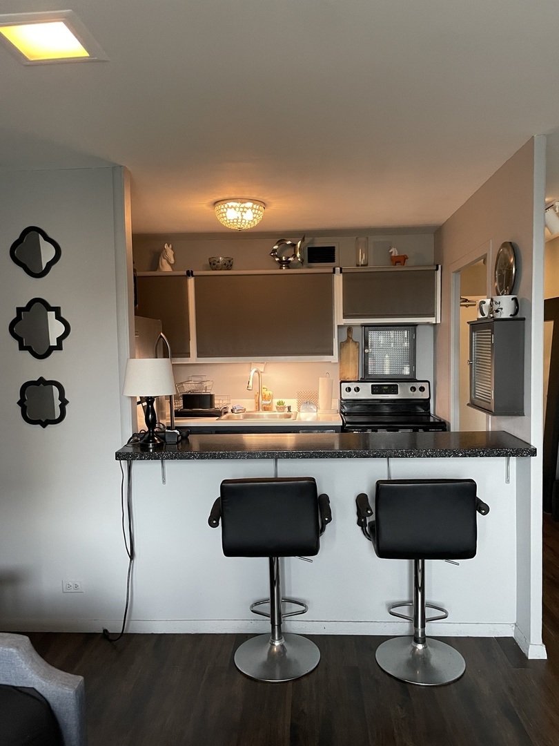 555 West Cornelia Avenue, Unit 705 Chicago, IL 60657 - Photo 3 of 11 Gallery Image 3