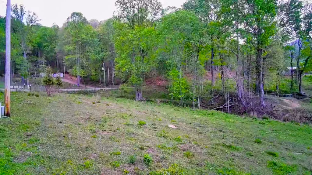 3325 Pack Mountain Road Murphy, NC 28906 - Photo 60 of 69