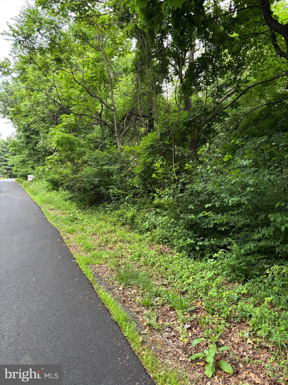 5706 Ridge Road Cascade, MD 21719 - Photo 1 of 7 Road frontage
