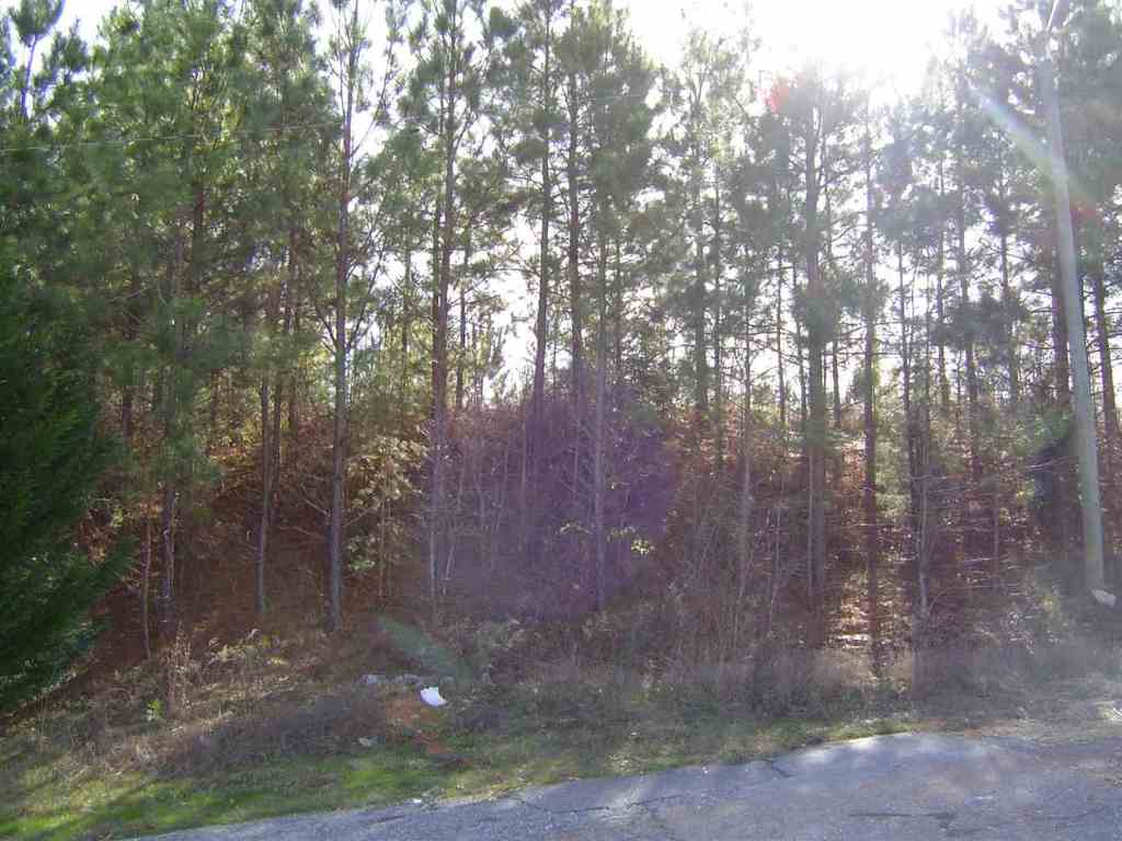 299 State Rd S-37-381 Seneca, SC 29678 - Photo 4 of 9 Gallery Image 4