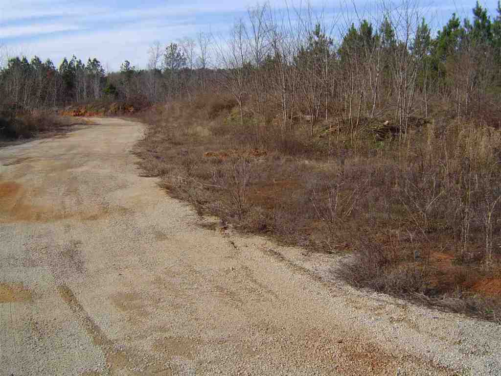 299 State Rd S-37-381 Seneca, SC 29678 - Photo 7 of 9 Gallery Image 7