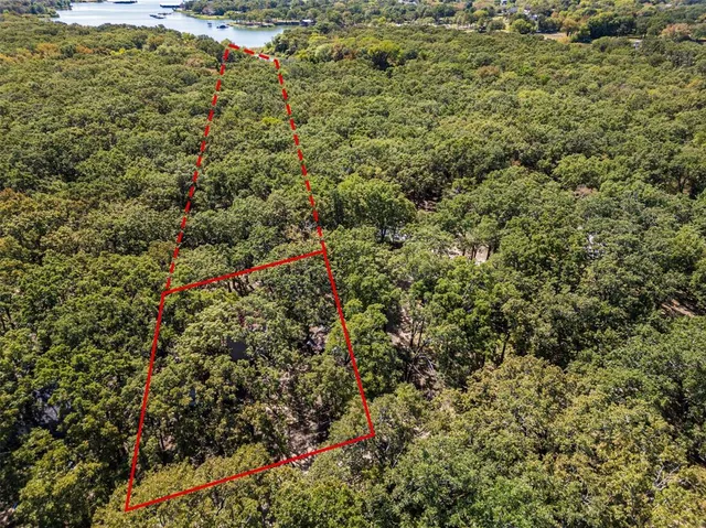 a view of a bunch of trees and bushes