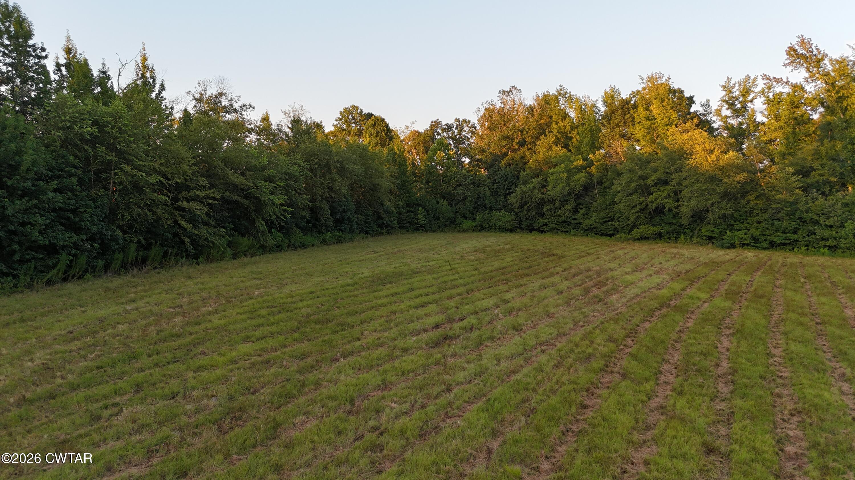 0 Roberts Road Pinson, TN 38366 - Photo 13 of 18 IMG_1067