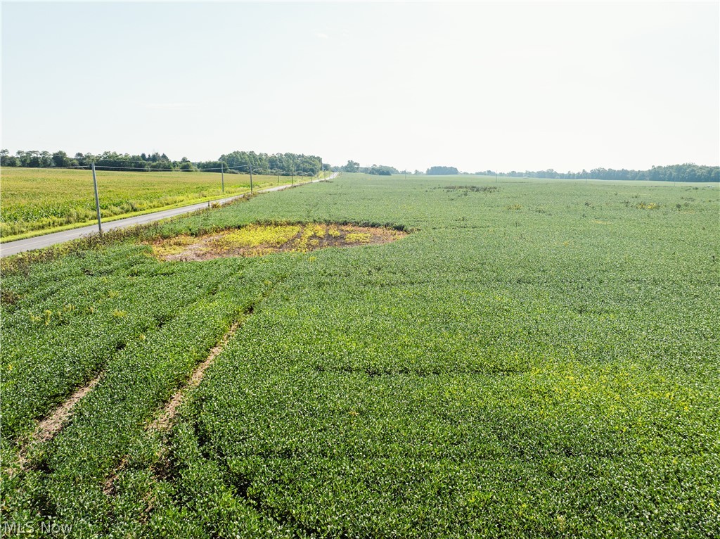 Sycamore Road Centerburg, OH 43011 - Photo 13 of 50 Gallery Image 13
