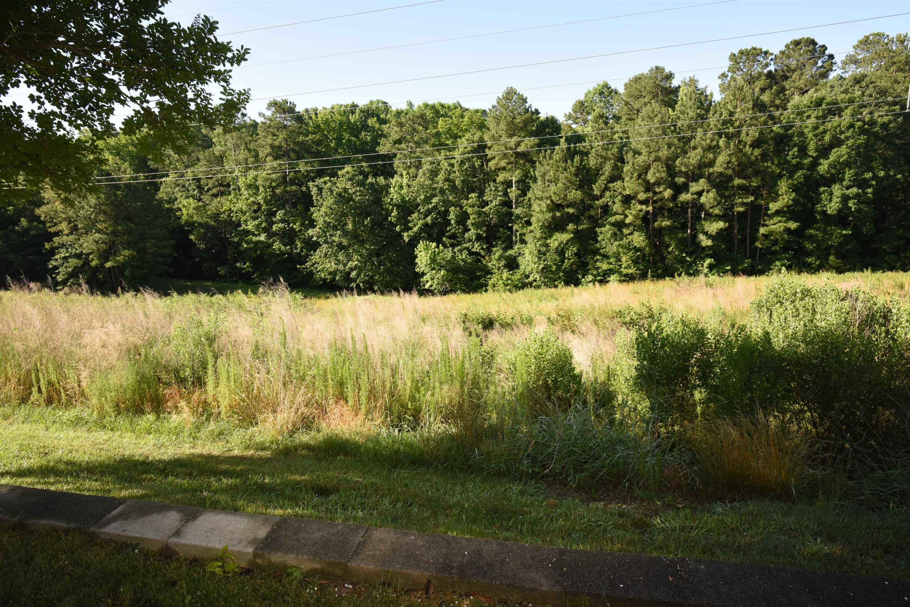 2540 Forest Shadows Lane Raleigh, NC 27614 - Photo 11 of 41 Photo 11