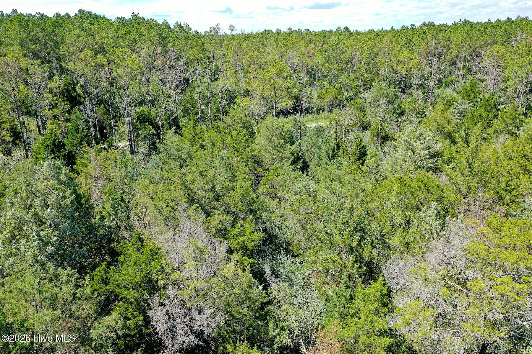 4.57-acres Meekins Road Bayboro, NC 28515 - Photo 7 of 17