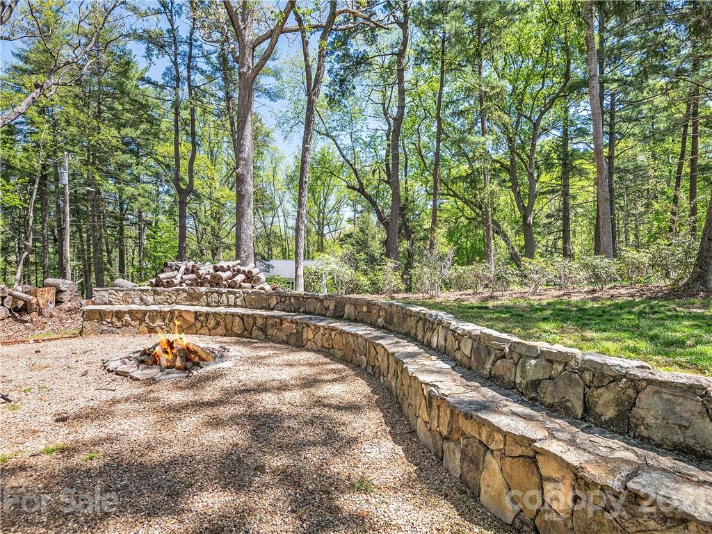 930 Country Club Road Asheville, NC 28804 - Photo 46 of 47 a view of a yard with plants and trees