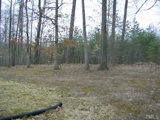 1502 Stone Drive Roxboro, NC 27573 - Photo 10 of 10 a view of a forest with trees in the background