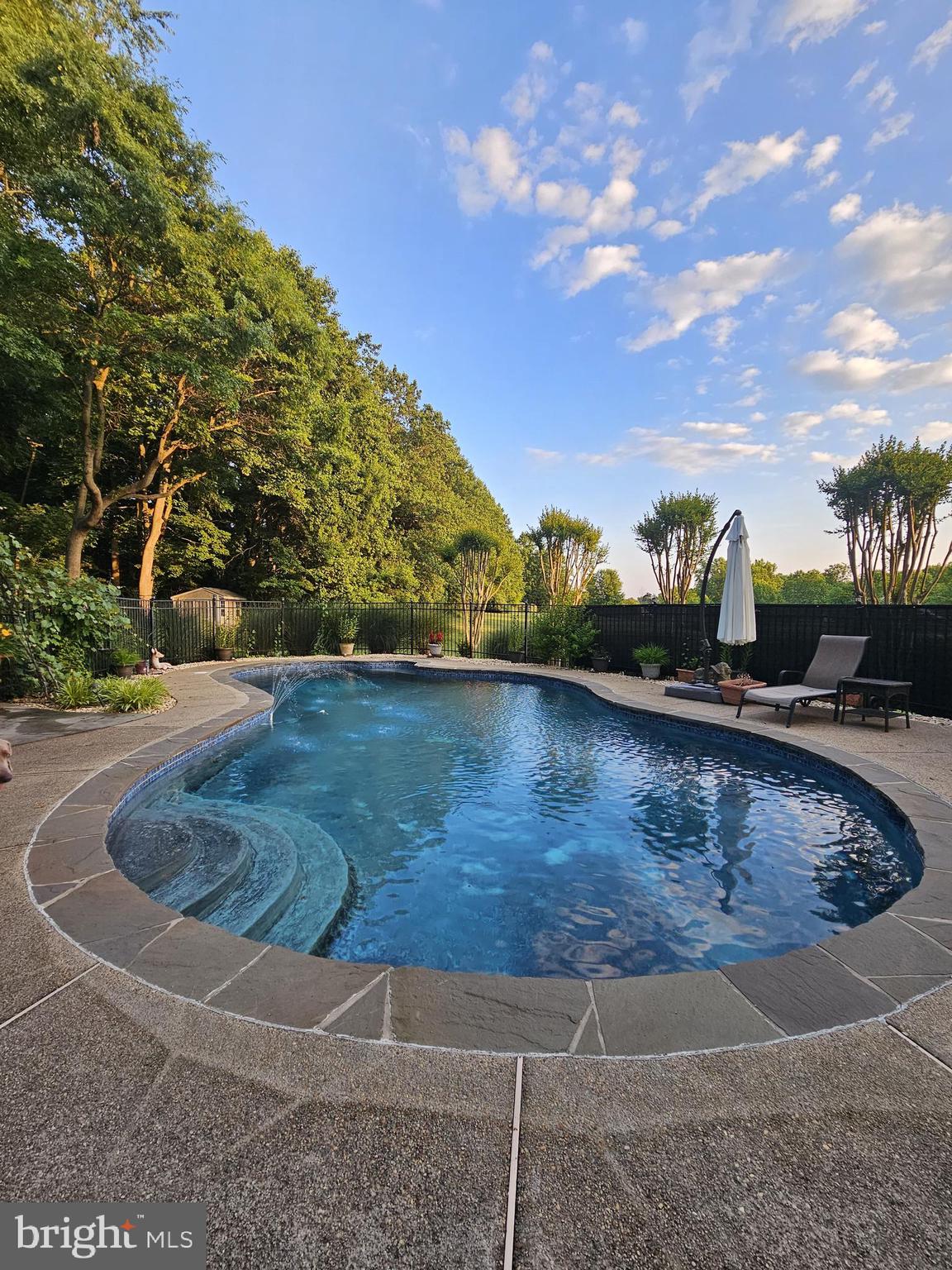 10409 Dunn Meadow Road Vienna, VA 22182 - Photo 15 of 34 Pool