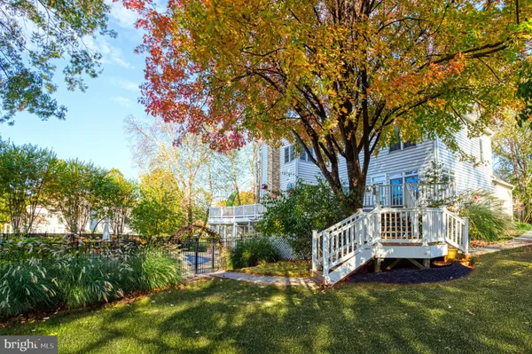 a garden view