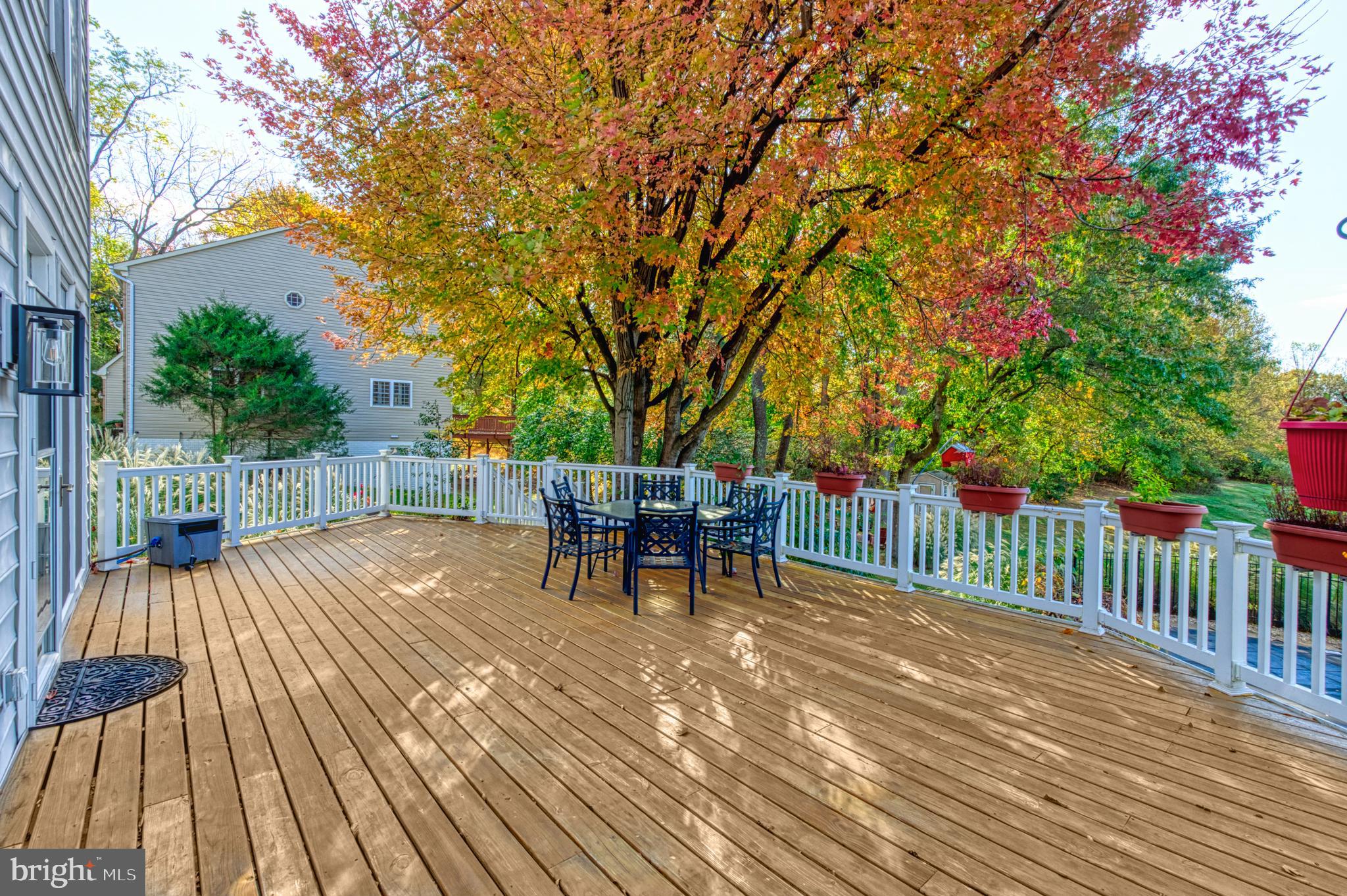 10409 Dunn Meadow Road Vienna, VA 22182 - Photo 7 of 34 Deck