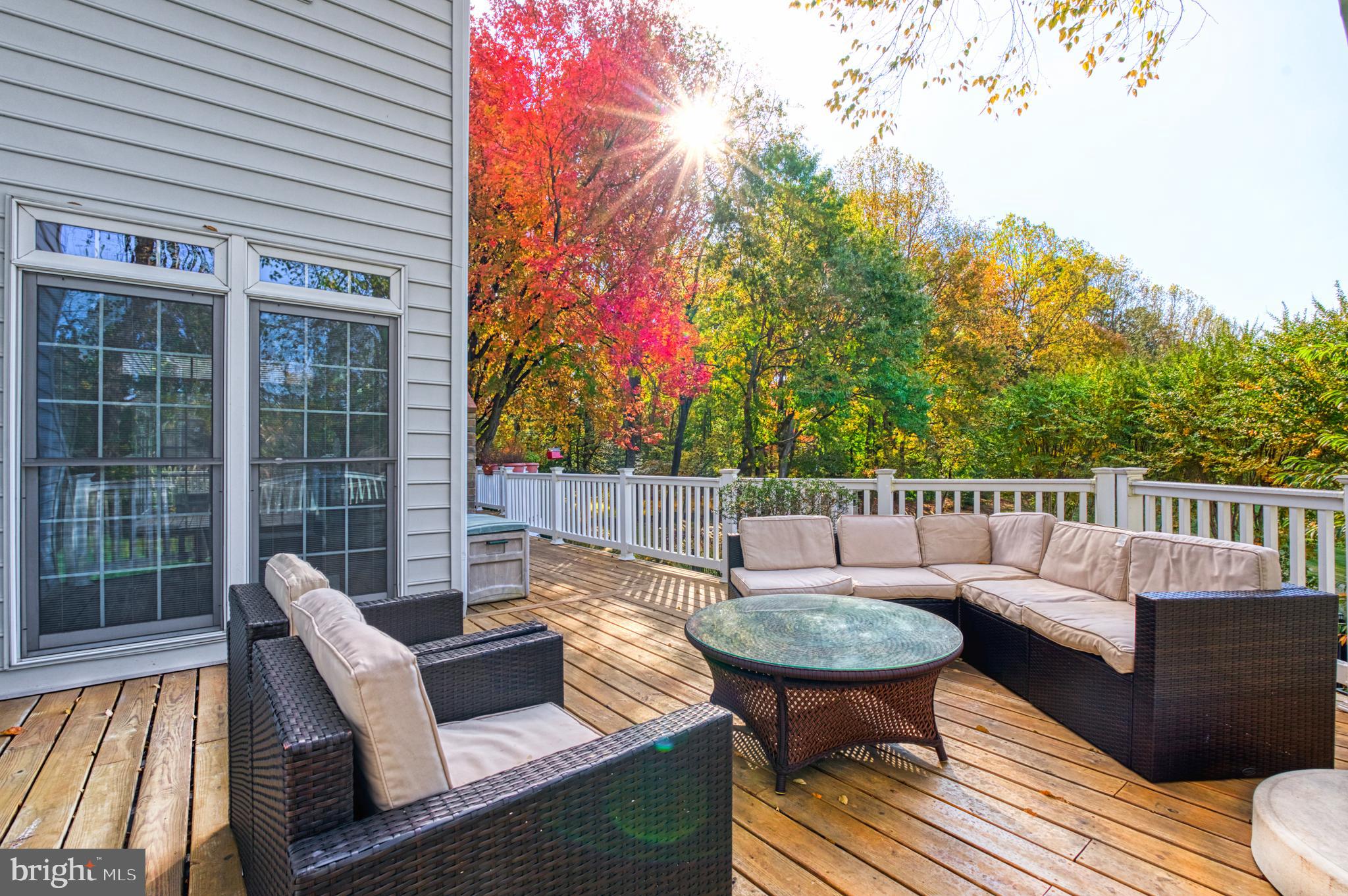 10409 Dunn Meadow Road Vienna, VA 22182 - Photo 10 of 34 Deck