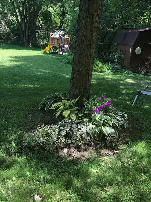 862 Country Road Penn Run, PA 15765 - Photo 37 of 38 Summer Time!