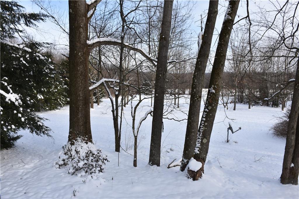 862 Country Road Penn Run, PA 15765 - Photo 6 of 38