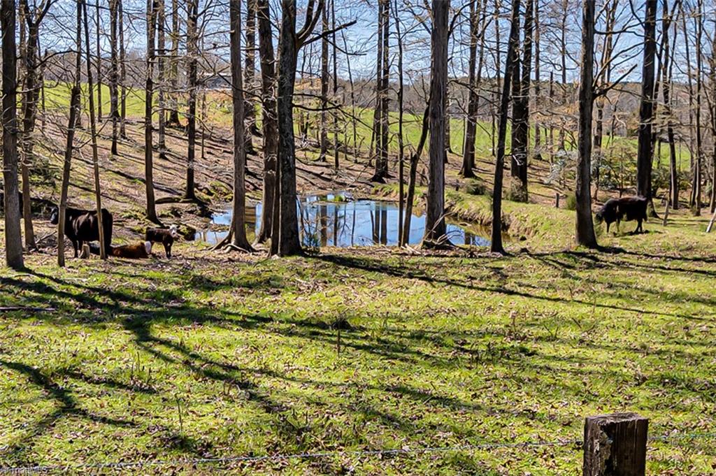1911 North Moore Road Robbins, NC 27325 - Photo 50 of 50