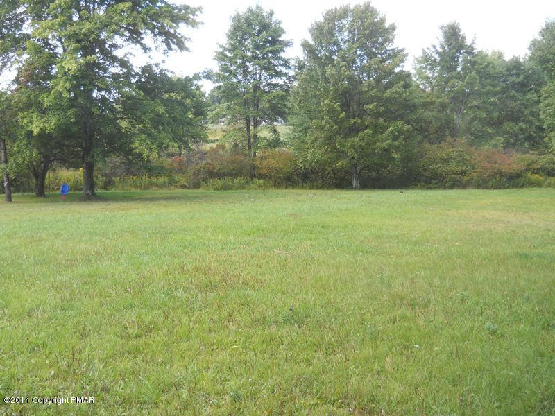21 Deer Park Road Dallas, PA 18612 - Photo 7 of 22 side yard
