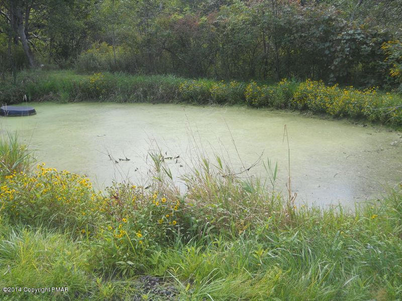 21 Deer Park Road Dallas, PA 18612 - Photo 8 of 22 pond