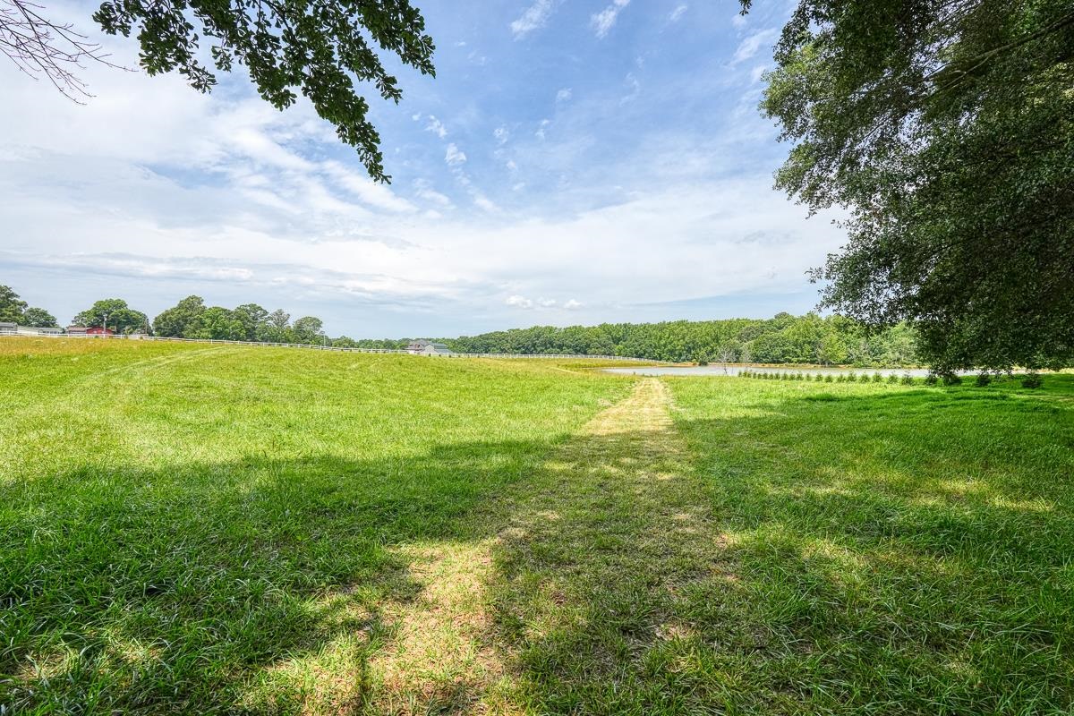 4171 Old Furnace Road Chesnee, SC 29323 - Photo 6 of 14 Gallery Image 6