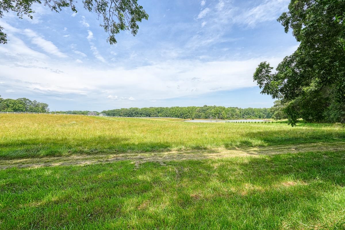4171 Old Furnace Road Chesnee, SC 29323 - Photo 7 of 14 Gallery Image 7