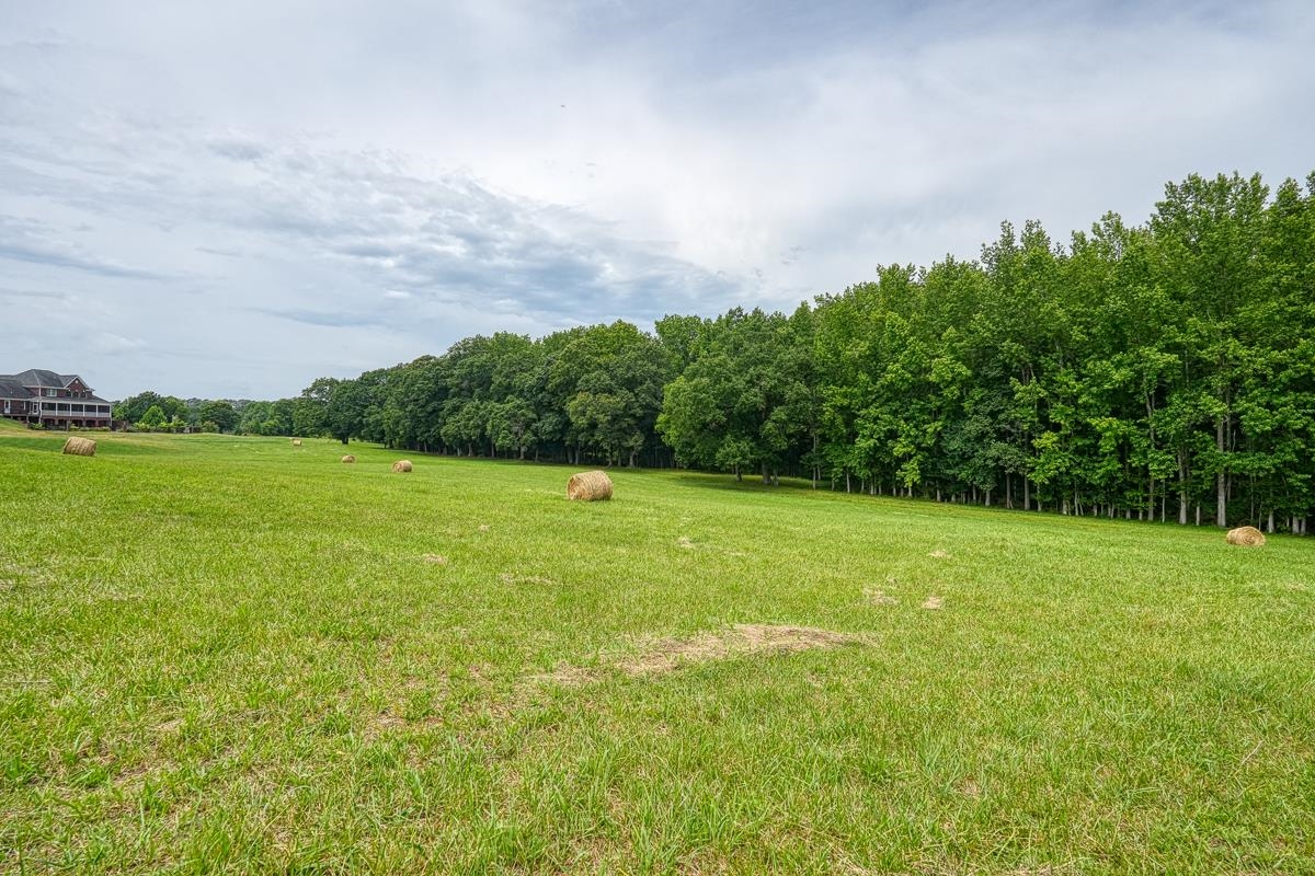 4171 Old Furnace Road Chesnee, SC 29323 - Photo 9 of 14 Gallery Image 9