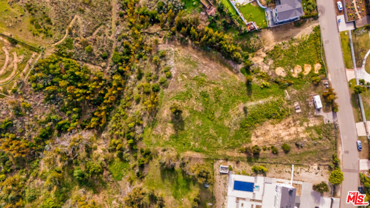 6660 Wandermere Road Malibu, CA 90265 - Photo 15 of 29 a picture of a tree