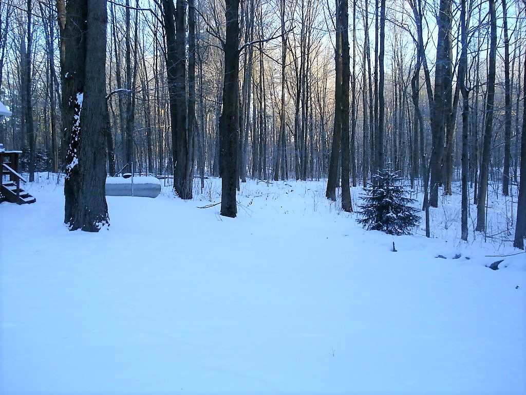 1800 Northwest County Line Road Remus, MI 49340 - Photo 29 of 29 1841561-29.JPG