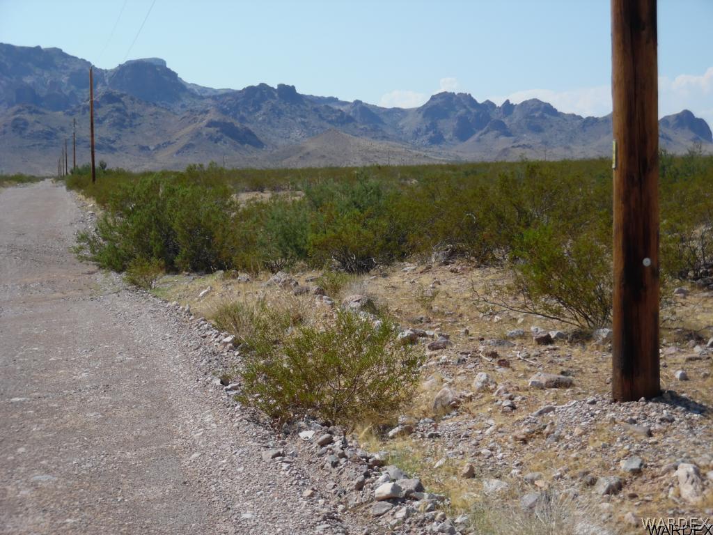 Tbd South Zircon Road Golden Valley, AZ 86413 - Photo 4 of 12 a view of a mountain with a forest