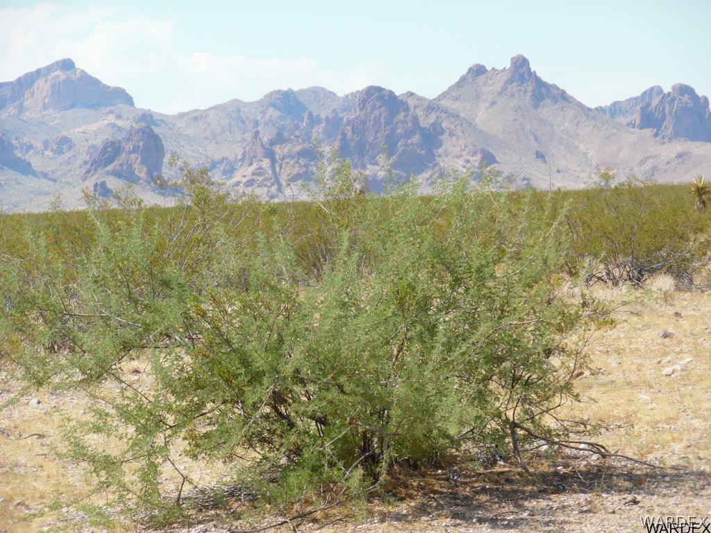 Tbd South Zircon Road Golden Valley, AZ 86413 - Photo 5 of 12 a view of mountain and an ocean