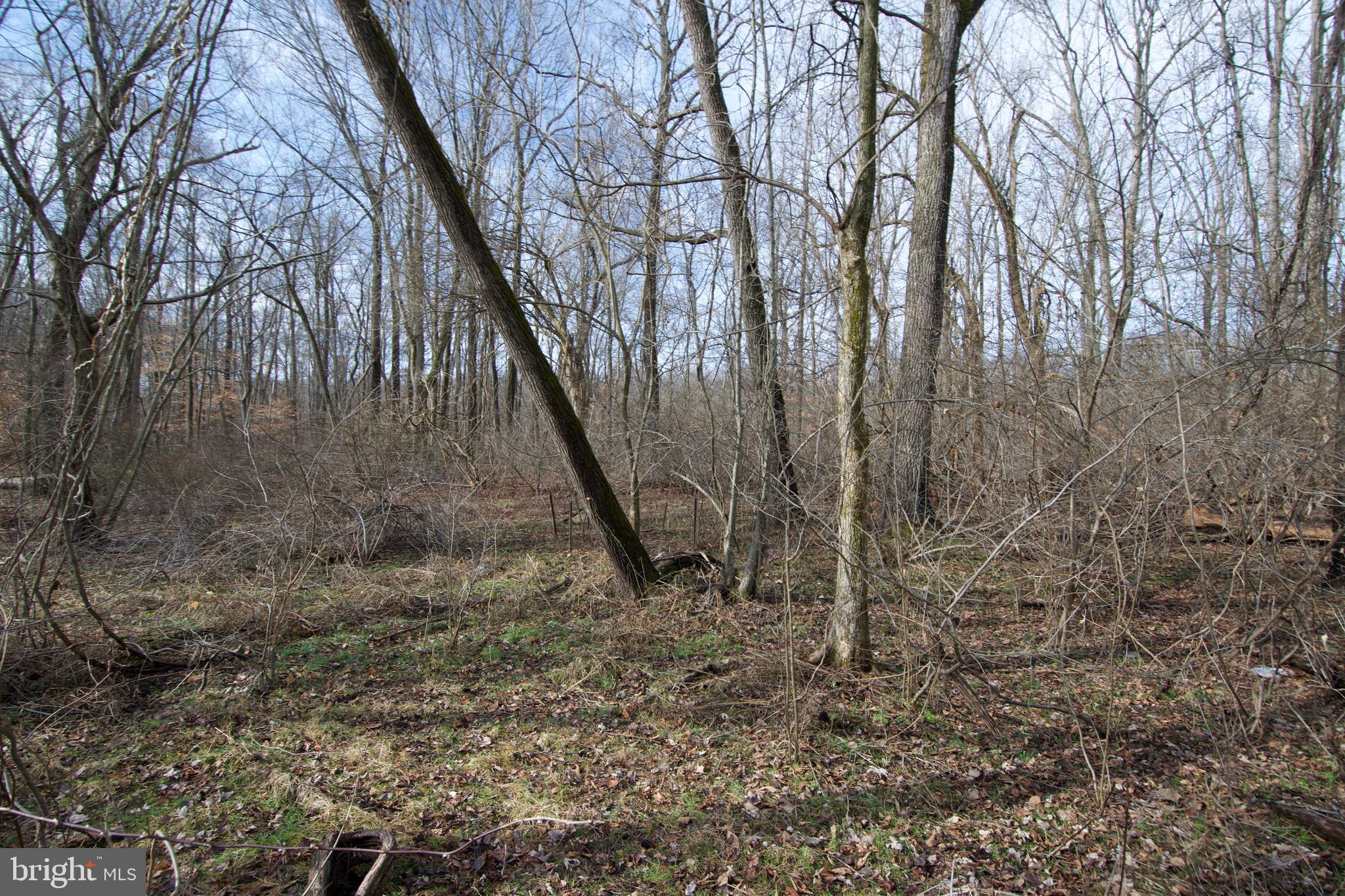 0 Carroll Clark Road Galena, MD 21635 - Photo 20 of 40