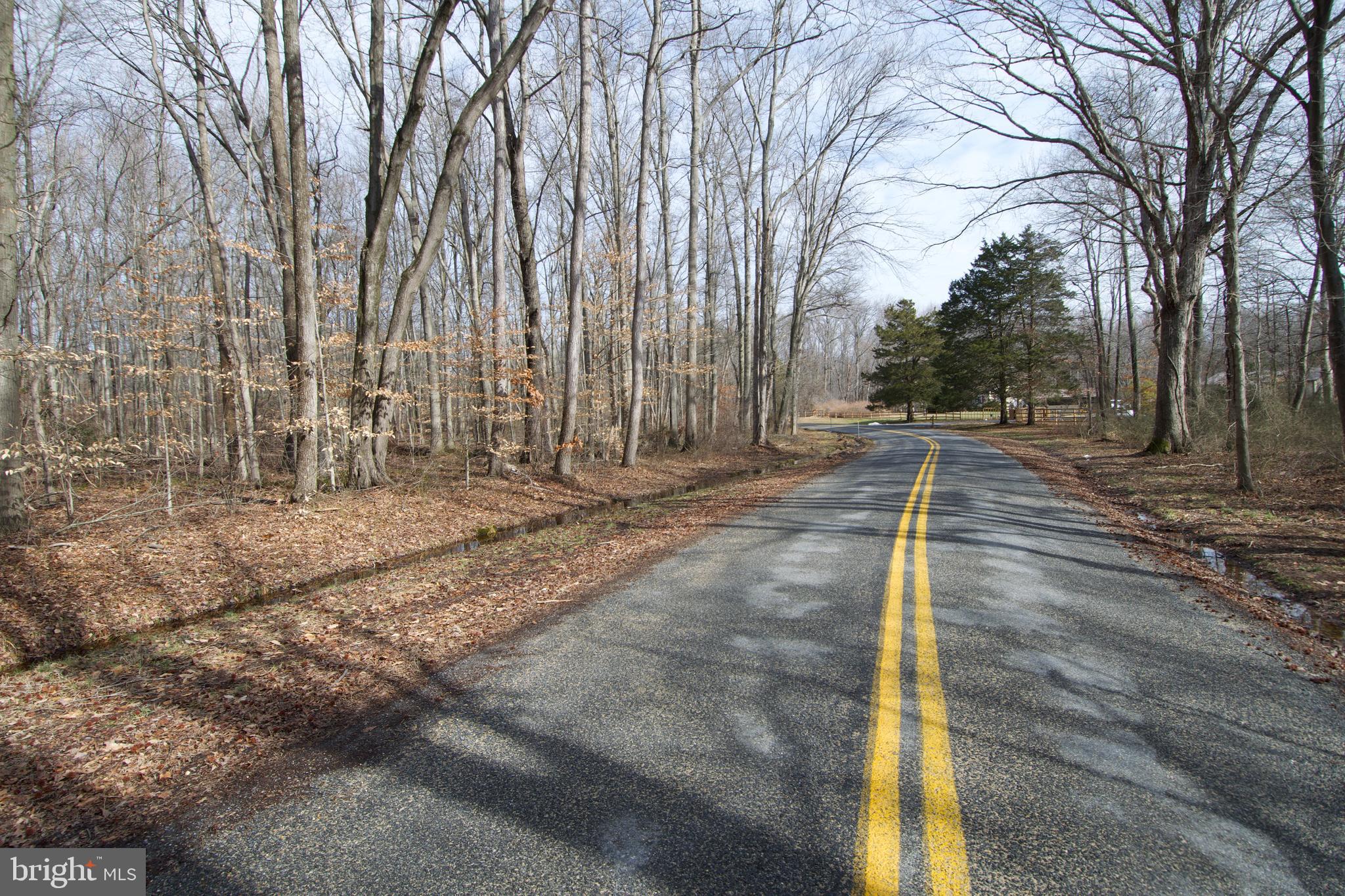 0 Carroll Clark Road Galena, MD 21635 - Photo 2 of 40