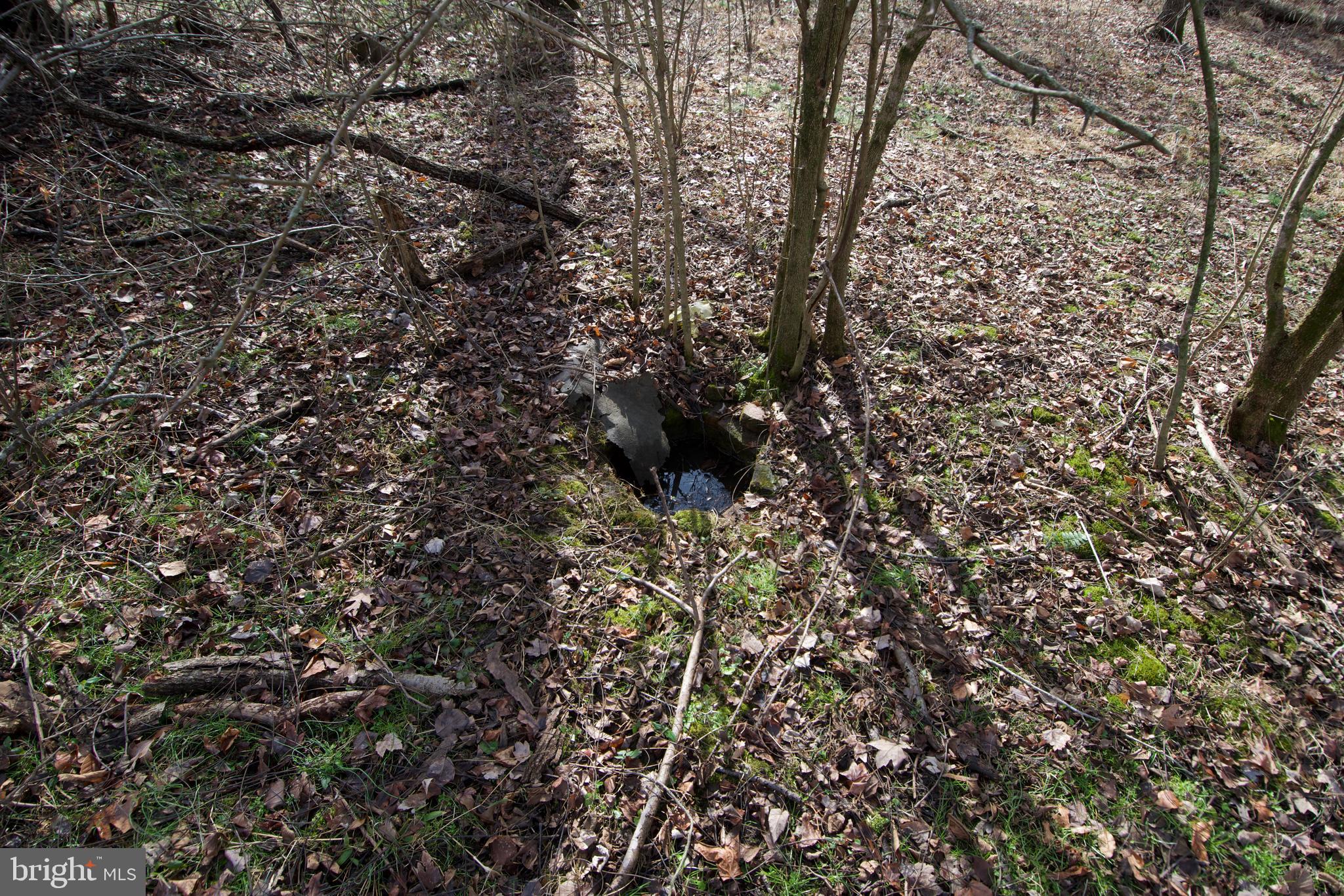 0 Carroll Clark Road Galena, MD 21635 - Photo 21 of 40