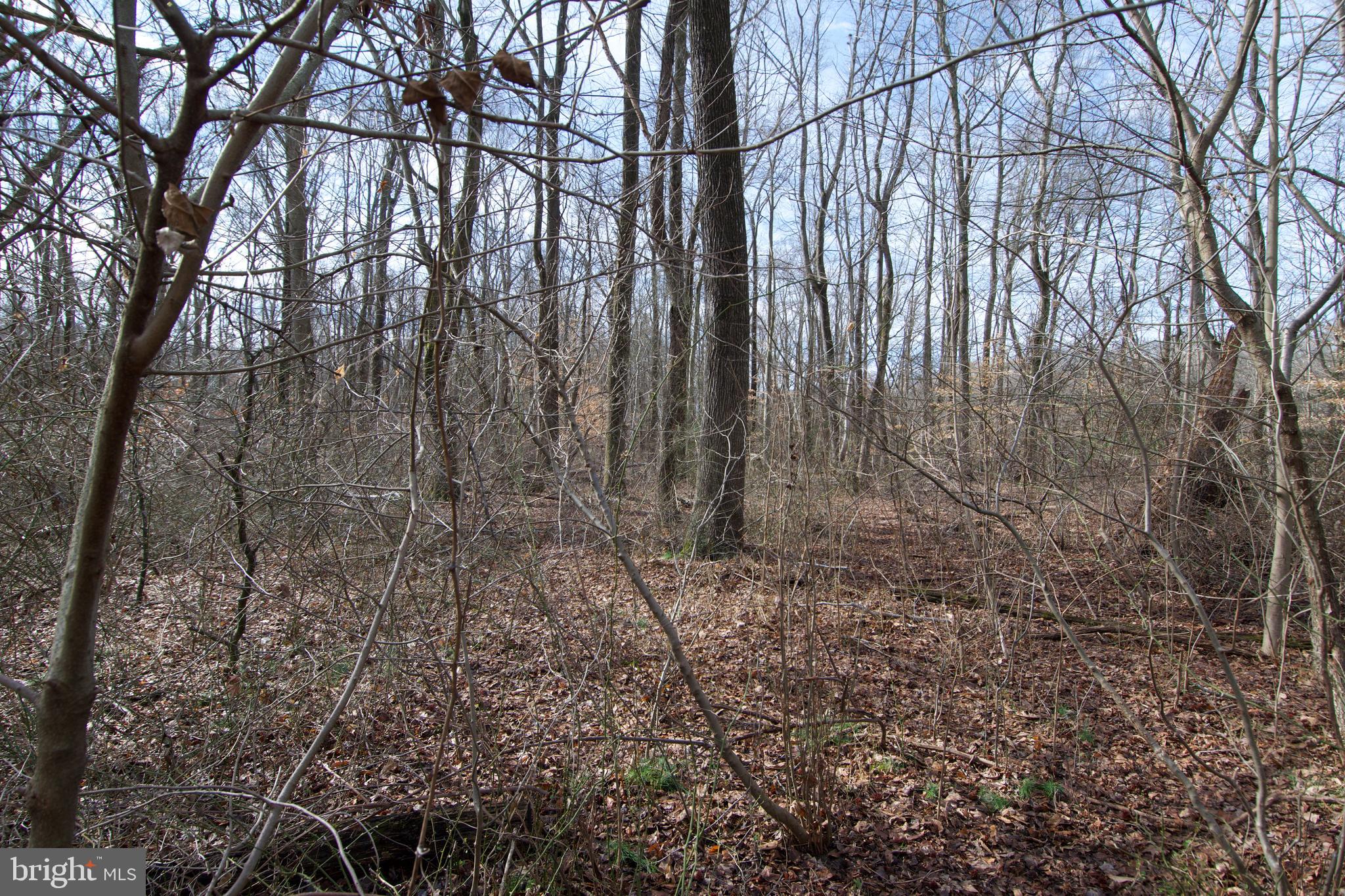 0 Carroll Clark Road Galena, MD 21635 - Photo 23 of 40