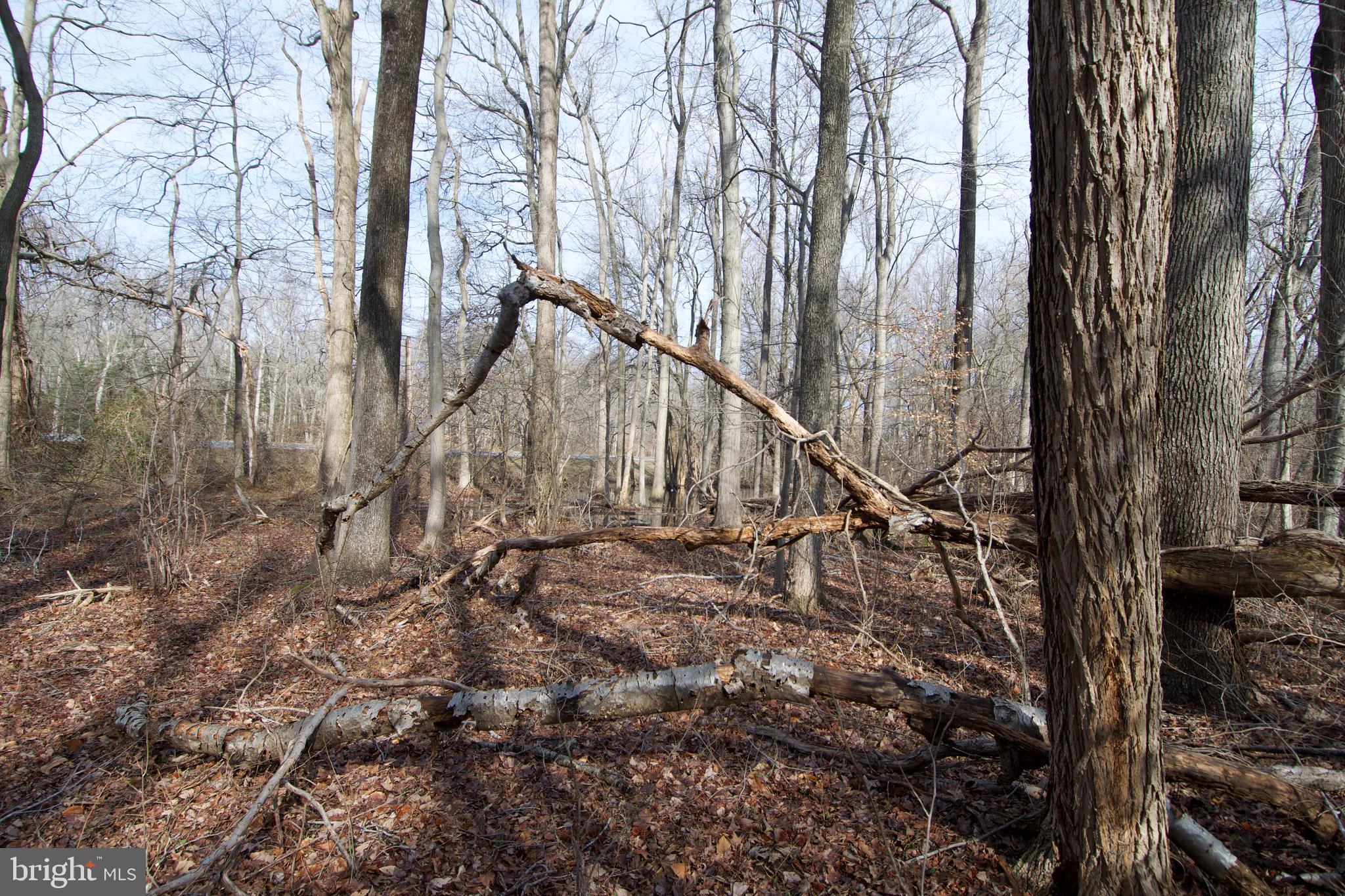 0 Carroll Clark Road Galena, MD 21635 - Photo 24 of 40