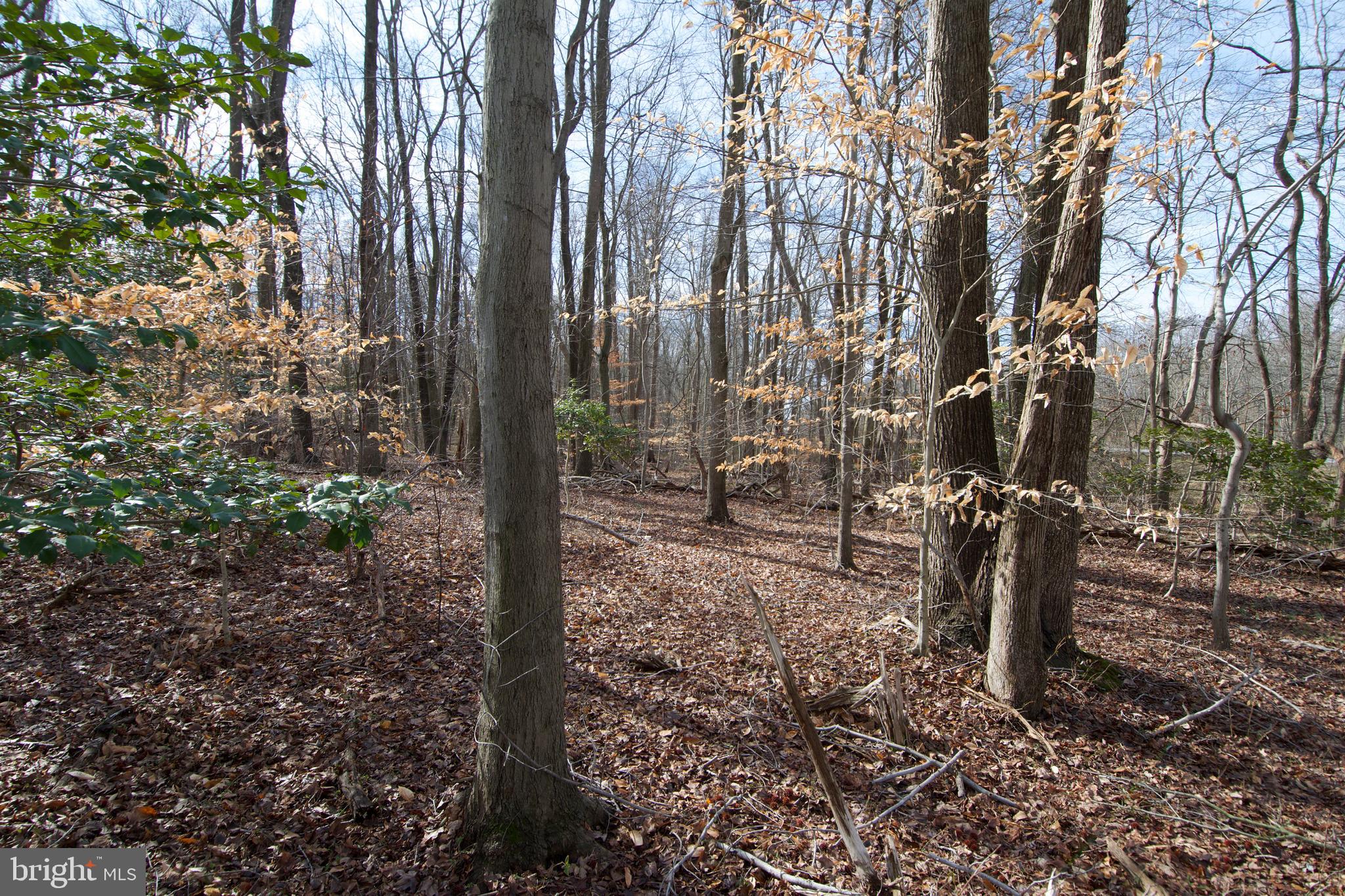 0 Carroll Clark Road Galena, MD 21635 - Photo 25 of 40