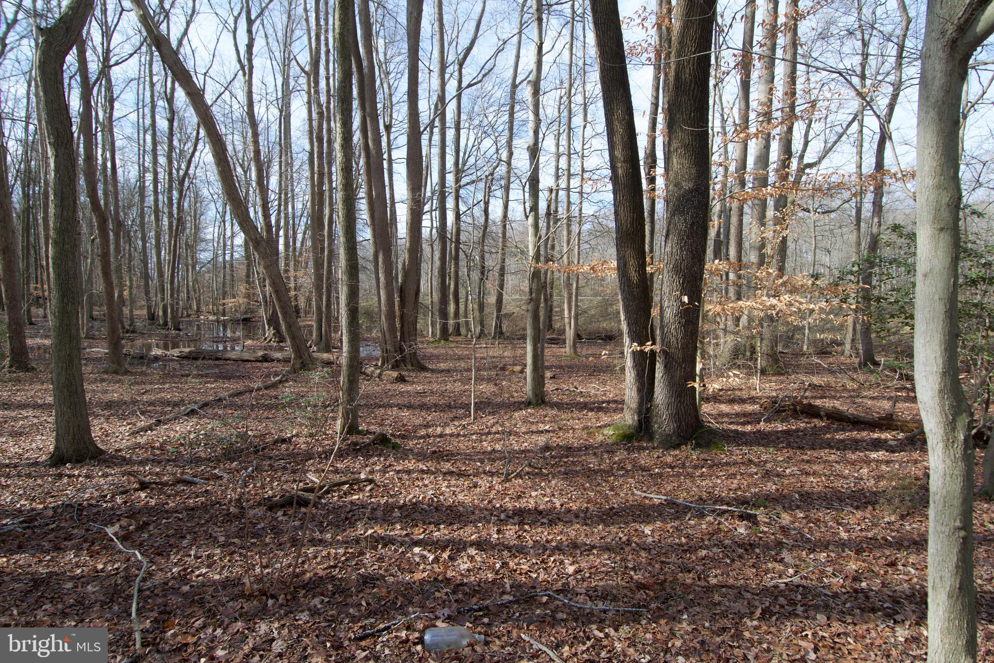 0 Carroll Clark Road Galena, MD 21635 - Photo 27 of 40