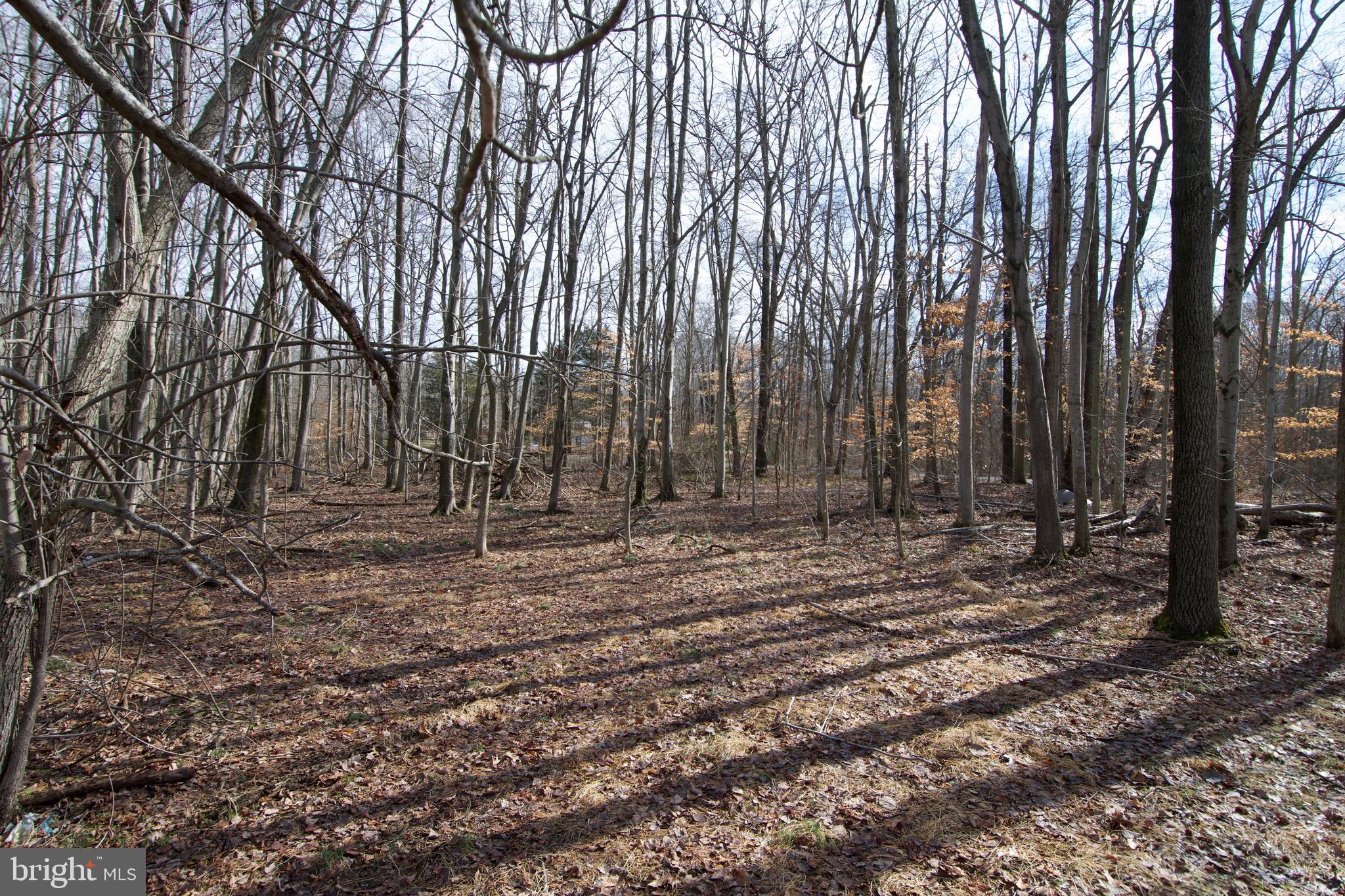 0 Carroll Clark Road Galena, MD 21635 - Photo 30 of 40