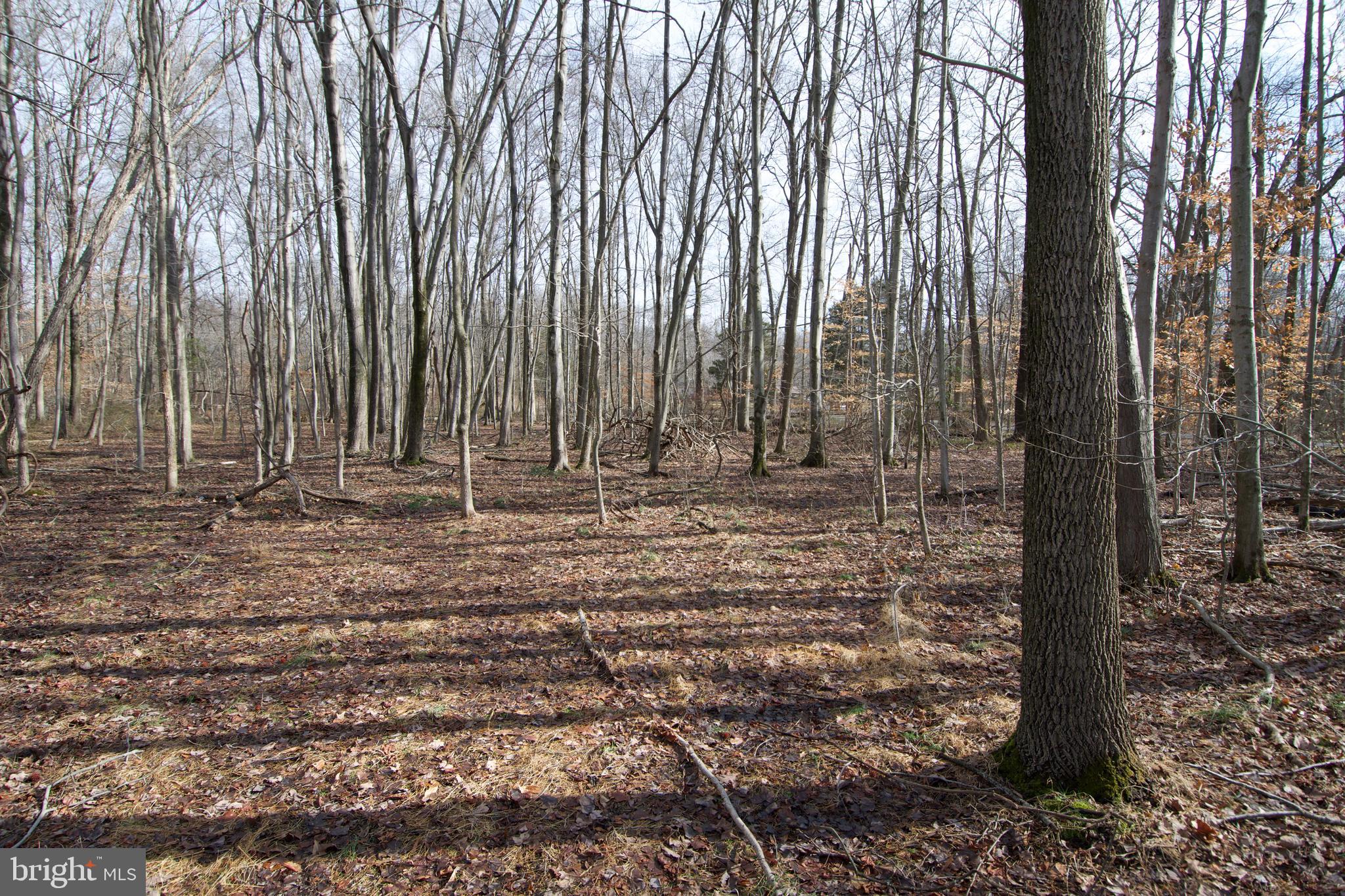 0 Carroll Clark Road Galena, MD 21635 - Photo 31 of 40